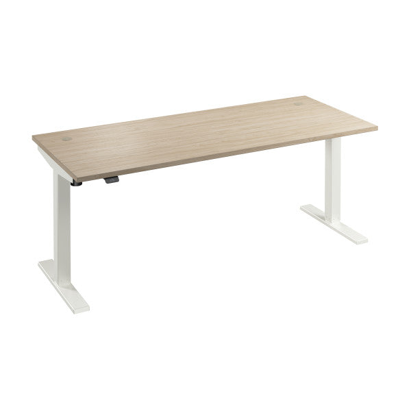 Shop Bush Furniture for you Move 40 Series 72W x 30D Electric Height Adjustable Standing Desk 02 M4S7230NEWK  color natural elm white powder coat