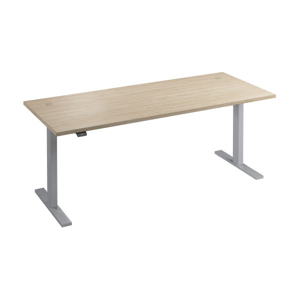 Shop Bush Furniture for you Move 60 Series 72W x 30D Electric Height Adjustable Standing Desk 02 M6S7230NESK  color natural elm cool gray metallic